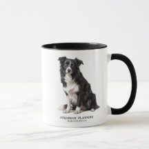 Strategische planning Border Collie