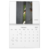 Stratford Swans Calendar Kalender (Feb 2027)