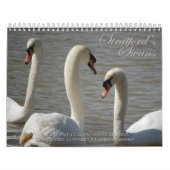 Stratford Swans Calendar Kalender (Hoes)