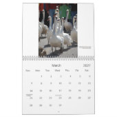 Stratford Swans Calendar Kalender (Mar 2027)
