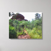 Straussen Back Trail Canvas Afdruk (Voorkant)