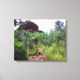 Straussen Back Trail Canvas Afdruk