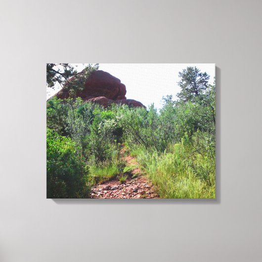 Straussen Back Trail Canvas Afdruk (Voorkant)