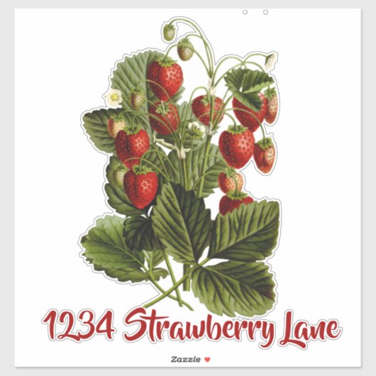 Strawberries brievenbus sticker (Vel)