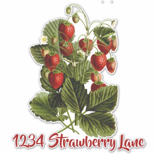 Strawberries brievenbus sticker (Voorkant)