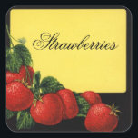 STRAWBERRIES Fruit Preserve,Canning Vierkante Sticker<br><div class="desc">Kleurrijke  opstelling voor rode fruitconserven,  jam- en potetiketten.</div>