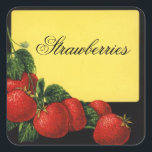 STRAWBERRIES Fruit Preserve,Canning Vierkante Sticker<br><div class="desc">Kleurrijke  opstelling voor rode fruitconserven,  jam- en potetiketten.</div>