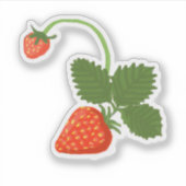 Strawberries Sticker (Voorkant)