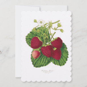 Strawberry Aftermiddag Tea Invitation Kaart