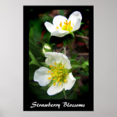 Strawberry Blossom Poster (Voorkant)
