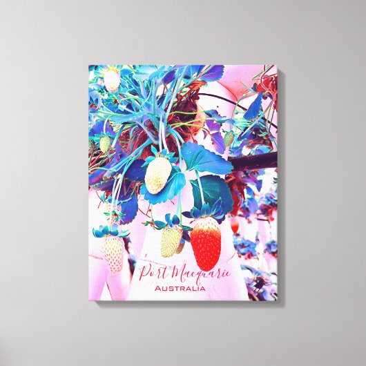 Strawberry boerderij Port Macquarie Australië Canvas Afdruk (Voorkant)