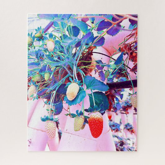 Strawberry boerderij Port Macquarie Australië Legpuzzel (Verticaal)