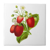 Strawberry Ceramic Tile Tegeltje (Voorkant)