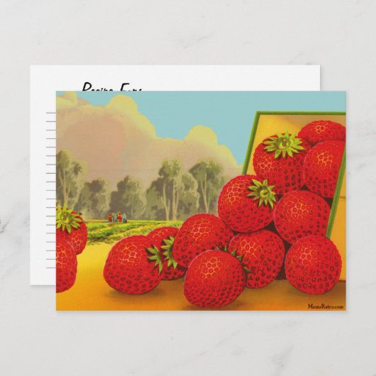 Strawberry Crate Art Custom Recipe Kaart Briefkaar (Voorkant / Achterkant)