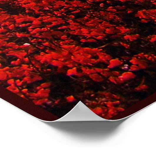 STRAWBERRY FIELDS FOREVER POSTER (Hoek)