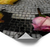 Strawberry Fields in Central Park Poster (Hoek)