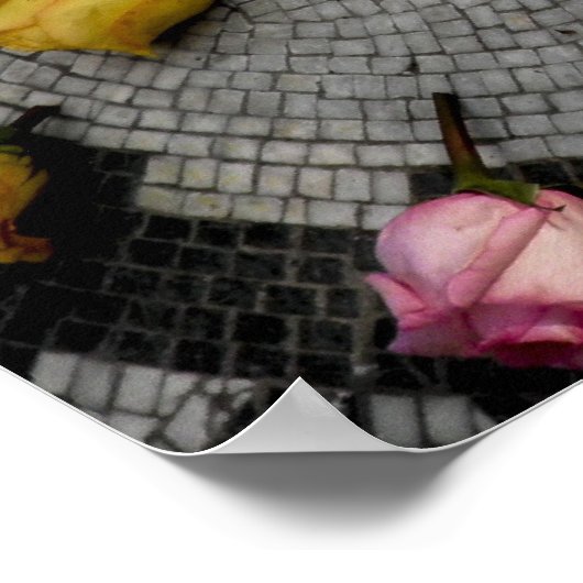 Strawberry Fields in Central Park Poster (Hoek)