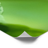 Strawberry Finch  Poster (Hoek)