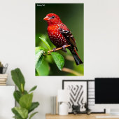 Strawberry Finch  Poster (Thuiskantoor)