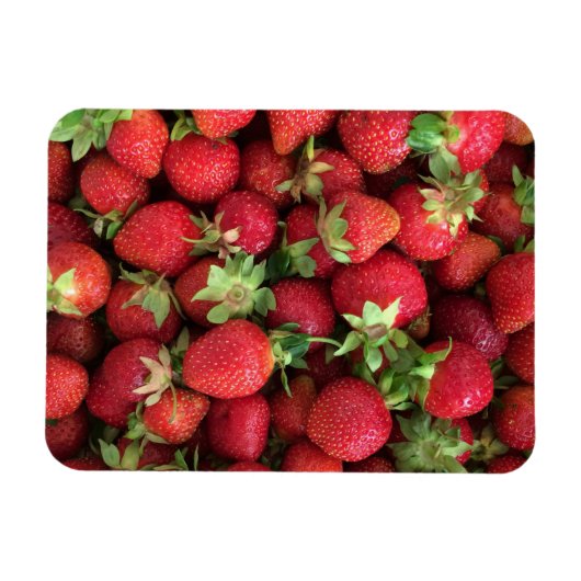 Strawberry foto magnet magneet (Horizontaal)