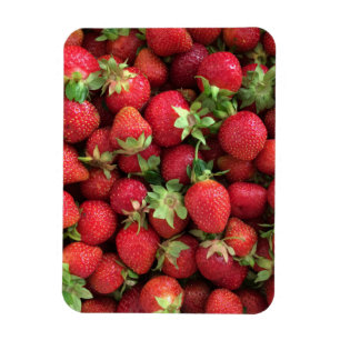 Strawberry foto magnet magneet