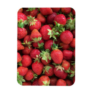 Strawberry foto magnet magneet