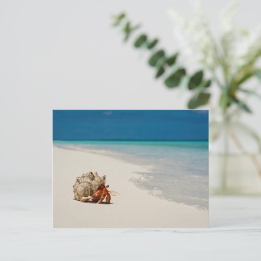 Strawberry Hermit Crab | Coenobita Perlatus Briefkaart (Staand voorkant)