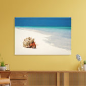 Strawberry Hermit Crab | Coenobita Perlatus Canvas Afdruk (Insitu (Woonkamer))