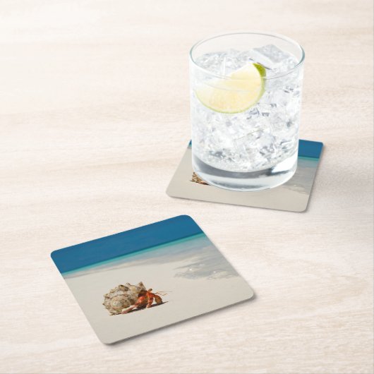 Strawberry Hermit Crab | Coenobita Perlatus Kartonnen Onderzetters (Insitu)