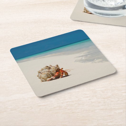 Strawberry Hermit Crab | Coenobita Perlatus Kartonnen Onderzetters (Schuin)