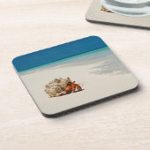 Strawberry Hermit Crab | Coenobita Perlatus Onderzetter (Linkerzijde)