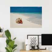 Strawberry Hermit Crab | Coenobita Perlatus Poster (Thuiskantoor)