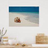 Strawberry Hermit Crab | Coenobita Perlatus Poster (Keuken)