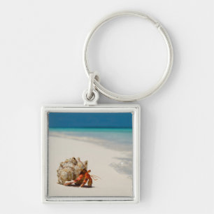 Strawberry Hermit Crab   Coenobita Perlatus Sleutelhanger