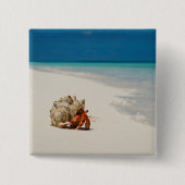 Strawberry Hermit Crab | Coenobita Perlatus Vierkante Button 5,1 Cm (Voorkant)