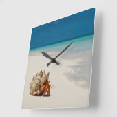 Strawberry Hermit Crab | Coenobita Perlatus Vierkante Klok (Hoek)