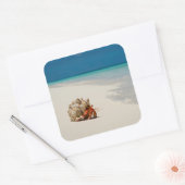 Strawberry Hermit Crab | Coenobita Perlatus Vierkante Sticker (Envelop)