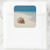 Strawberry Hermit Crab | Coenobita Perlatus Vierkante Sticker (Tas)
