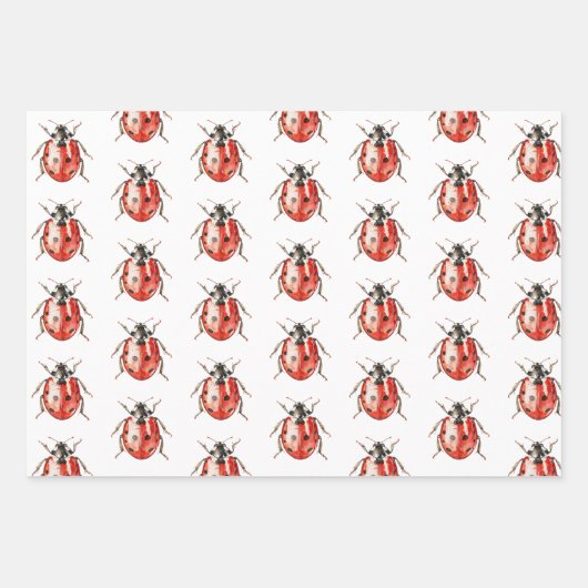 Strawberry Muffin Cake Ladybugs Birthday Inpakpapier Vel (Voorkant 3)