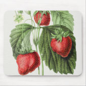 strawberry-muisblok muismat (Voorkant)