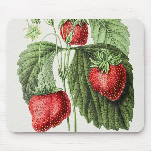  strawberry-muisblok muismat (Voorkant)