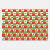 Strawberry Patch Inpakpapier Vel (Voorkant 2)