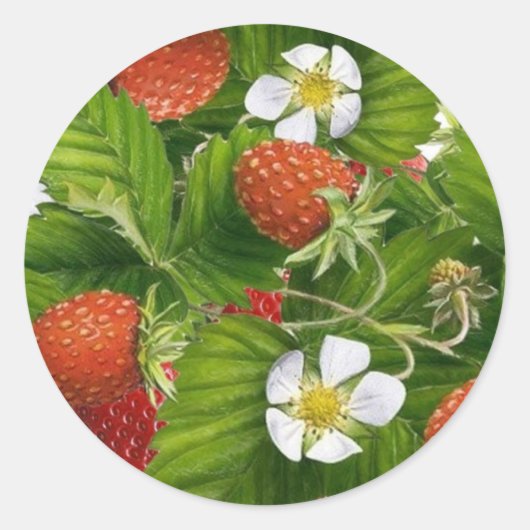 Strawberry Patch Ronde Sticker (Voorkant)