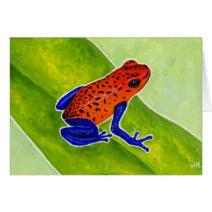 Strawberry Poison Dart Frog