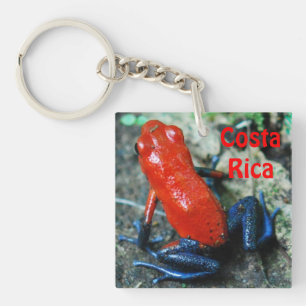 Strawberry Poison Dart Frog in Costa Rica Sleutelhanger
