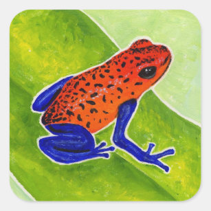Strawberry Poison Dart Frog Vierkante Sticker