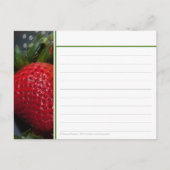 Strawberry Recipcard Briefkaart (Voorkant)