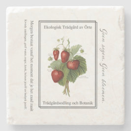 Strawberry seedling is a Christmas tree Stenen Onderzetter