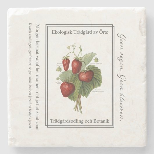 Strawberry seedling is a Christmas tree Stenen Onderzetter (Voorkant)