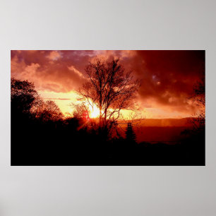 Strawberry Sunrise Poster